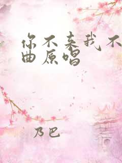 你不来我不走歌曲原唱