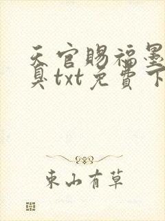天官赐福墨香铜臭txt免费下载
