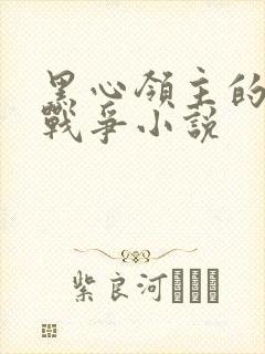 黑心领主的创世战争小说