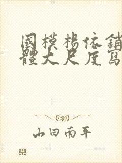 国模杨依销魂人体大尺度写真