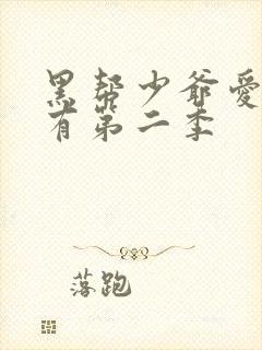 黑帮少爷爱上我有第二季