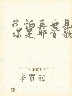 我怕再也见不到你是哪首歌的歌词