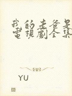 我的老爸是保安电视剧全集