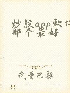 炒股app软件哪个最好