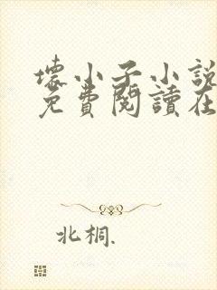 坏小子小说全文免费阅读在线