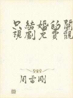 只结婚的关系电视剧免费观看