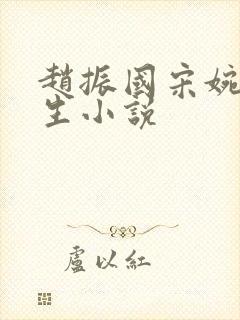 赵振国宋婉清重生小说