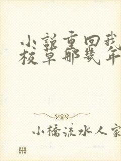 小说重回我爸当校草那几年在线看