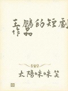 王鹏的短剧全部作品