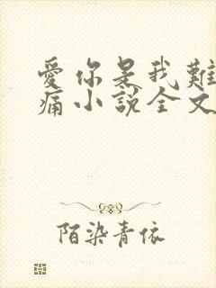 爱你是我难言的痛小说全文免费阅读