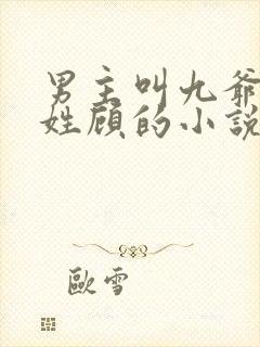男主叫九爷女主姓顾的小说