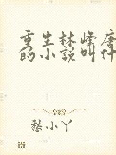 重生林峰唐雪颜的小说叫什么