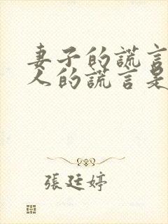 妻子的谎言和爱人的谎言是一个剧吗