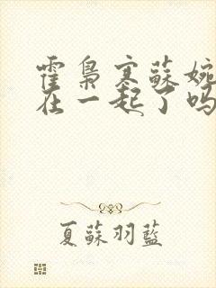 霍枭寒苏婉最后在一起了吗