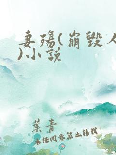 妻殇(崩毁人生)小说