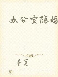 办公室隐婚小说