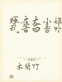 辉夜大小姐想让我告白番外篇