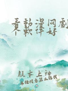 看动漫网剧用哪个软件好