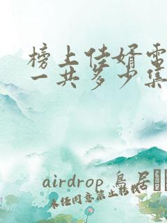 榜上佳婿电视剧一共多少集