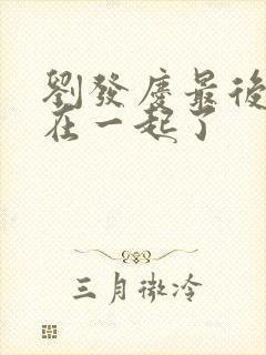 刘发庆最后和谁在一起了