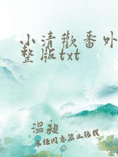 小清欢番外篇完整版txt