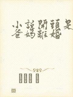 小说开头是女主爸妈离婚