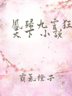凤归九霄狂妃逆天下 小说