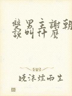 双男主谢朝的小说叫什么