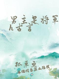 男主是将军的高h古言