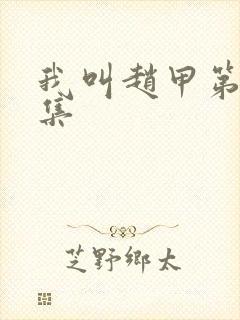 我叫赵甲第第几集