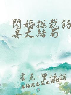 闪婚总裁的契约妻大结局