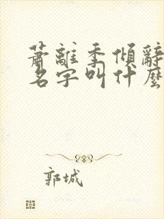 萧离季倾辞小说名字叫什么