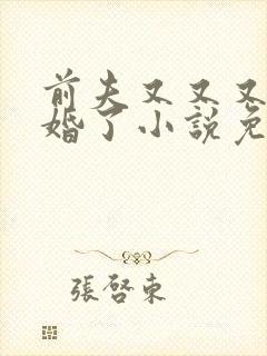 前夫又又又想复婚了小说免费阅读