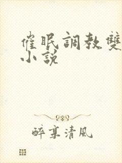 催眠调教双男主小说