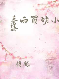 秦雨罗明小说全集