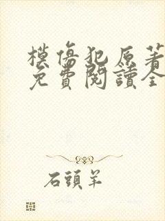 模仿犯原著小说免费阅读全文