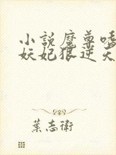 小说魔尊嗜宠:妖妃狠逆天