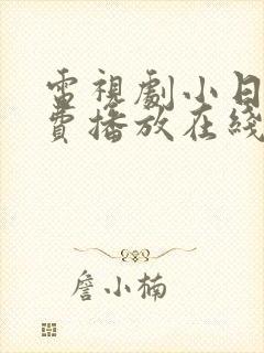 电视剧小日子免费播放在线观看全集