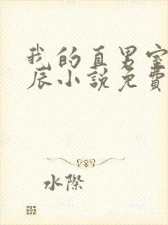 我的直男室友张辰小说免费阅读