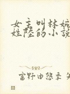 女主叫林婉男主姓陆的小说