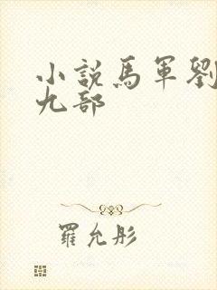小说马军刘艳第九部