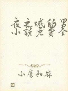 夜之城的男人们小说免费全文在线阅读