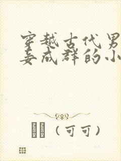 穿越古代男主妻妾成群的小说