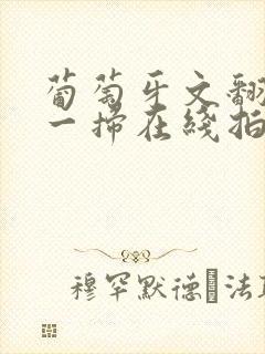 葡萄牙文翻译扫一扫在线拍照翻译器