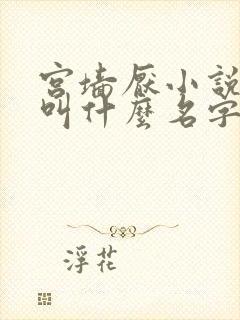 宫墙厌小说原著叫什么名字
