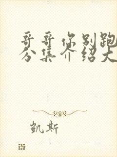 哥哥你别跑剧情分集介绍大结局