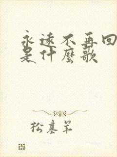 永远不再回来这是什么歌