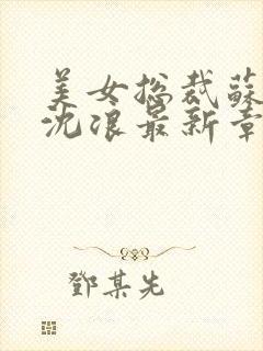 美女总裁苏若雪沈浪最新章节