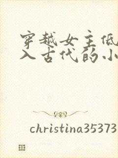 穿越女主低调融入古代的小说