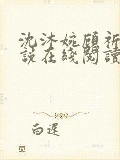 沈沐婉顾祈安小说在线阅读